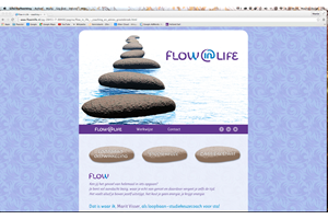 Website ontwikkeld voor Flow in Life